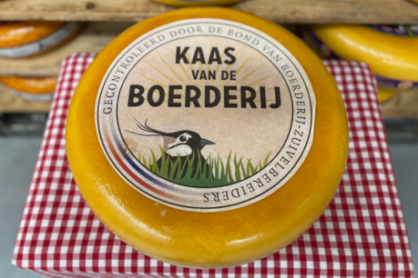 Pikante boerderijkaas (partij OP=OP) Pikante boerderijkaas (partij OP=OP)
